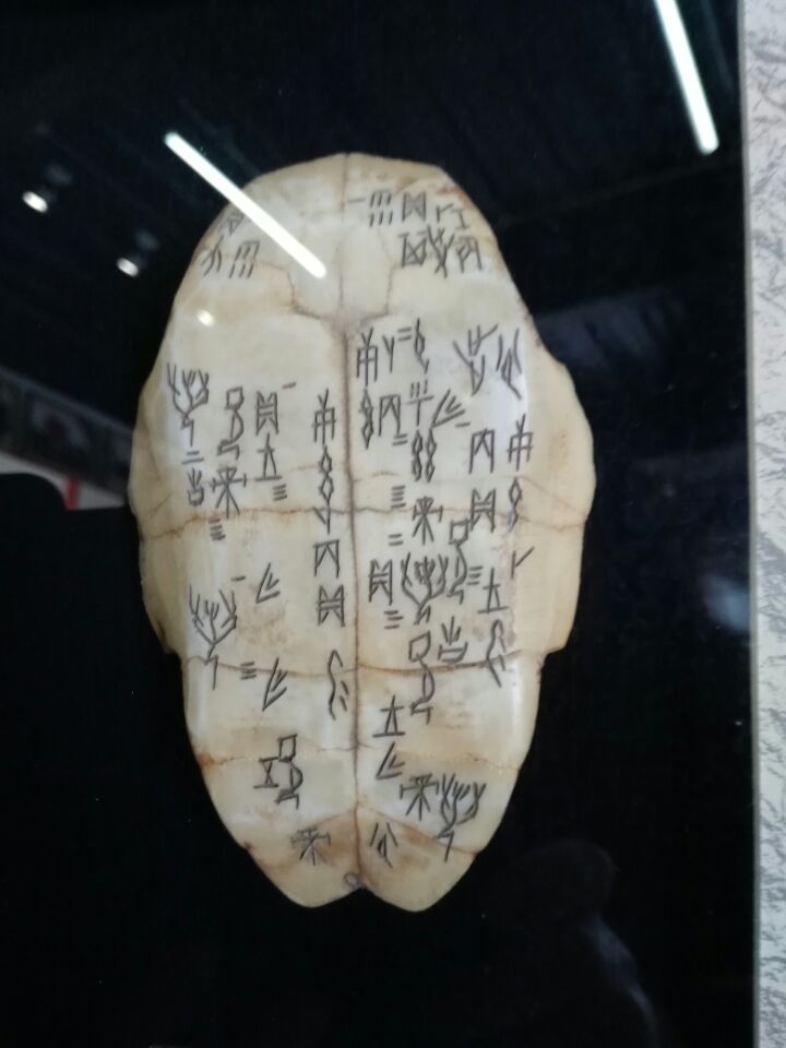 甲骨文