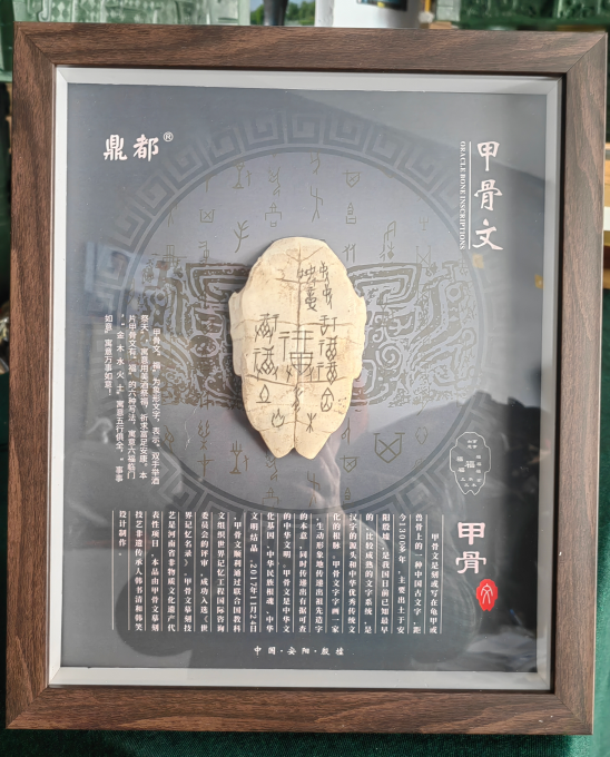 360截图20250324094152