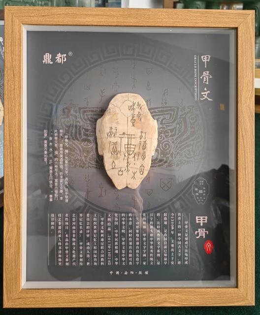360截图20250324094731